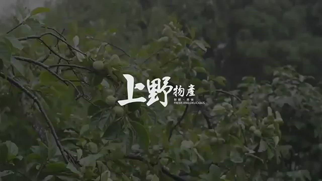 (滿899免運)【上野物產】台灣製品料理 酥炸春捲(680g±10%/20條/包) x1包 product video thumbnail