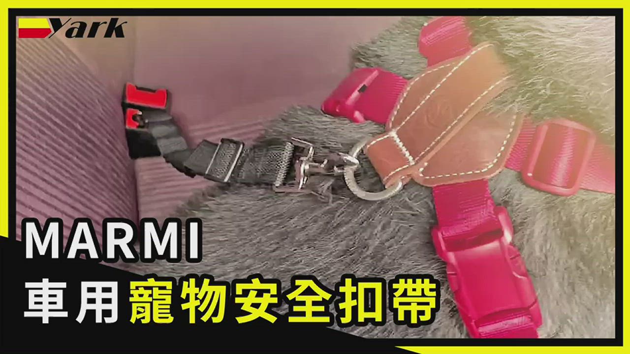 MARMI 車用寵物安全扣帶 (1入)-急速配 product video thumbnail